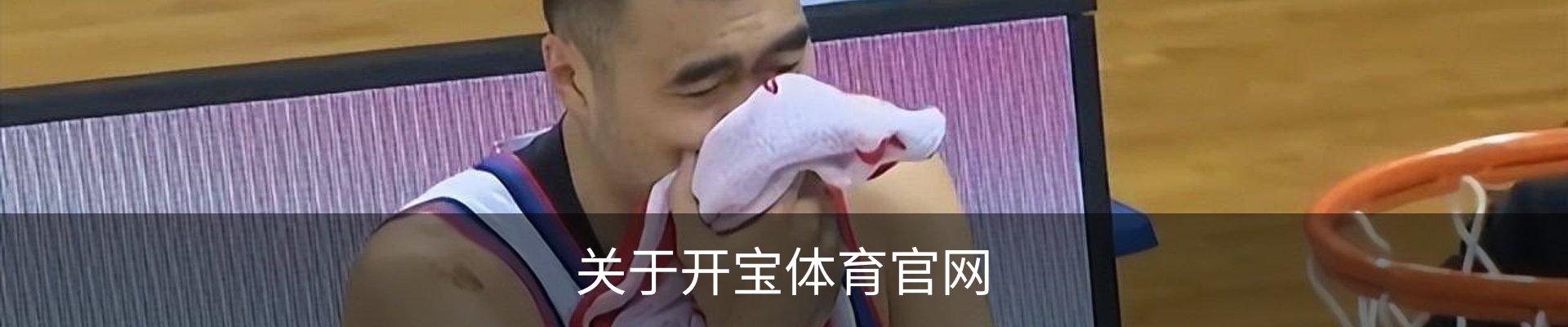关于开宝体育官网